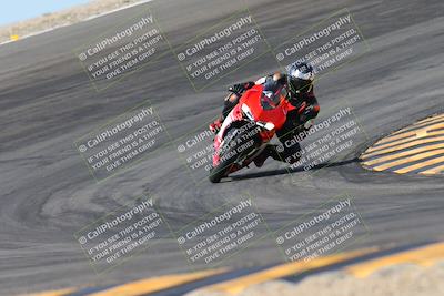 media/Mar-09-2024-SoCal Trackdays (Sat) [[bef1deb9bf]]/1-Bowl Exit (940am)/